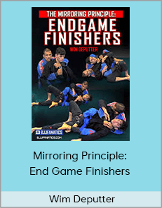 Wim Deputter - Mirroring Principle: End Game Finishers