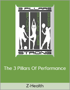 Z-Health - The 3 Pillars Of Performance