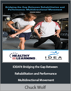 Chuck Wolf - IDEAFit Bridging the Gap Between Rehabilitation and Performance Multidirectional Movement