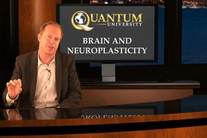 Iquim - Dr. Joe Dispenza - Brain and Neuroplasticity