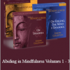 Joseph Goldstein - Abiding in Mindfulness Volumes 1 - 3