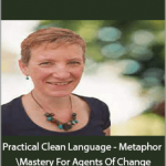 Judy Rees - Practical Clean Language - Metaphor Mastery For Agents Of Change