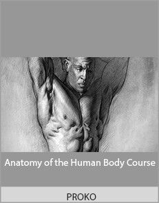 PROKO - Anatomy of the Human Body Course