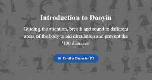 Andrew Nugent-Head - Introduction to Daoyin