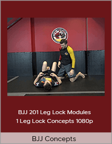 BJJ Concepts - BJJ 201 Leg Lock Modules - 1 Leg Lock Concepts 1080p