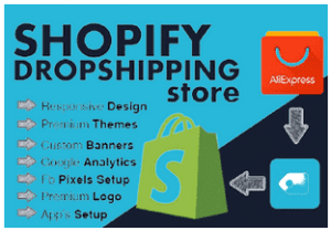 Build Shopify Dropshipping Store - AliExpress Dropshipping