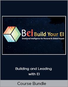 Course Bundle - Building and Leading with EI