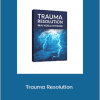 David Snyder - Trauma Resolution