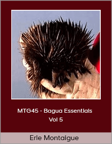 Erle Montaigue - MTG45 - Bagua Essentials Vol 5