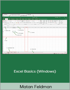 Matan Feldman - Excel Basics (Windows)