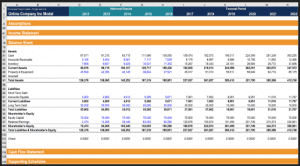 Matan Feldman - Financial Statement Modeling 1