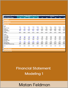 Matan Feldman - Financial Statement Modeling 1