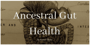 PrimalThrive - Ancestral Gut Health