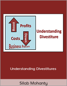 Silab Mohanty - Understanding Divestitures