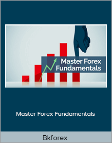 Bkforex - Master Forex Fundamentals