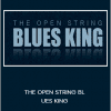 Claus Levin - THE OPEN STRING BLUES KING