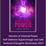 David Snyder - Secrets of Internal Power - Self Defense Supercharge and Self Defense Energetic Bootcamp 2021