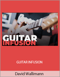 David Wallimann - GUITAR INFUSION