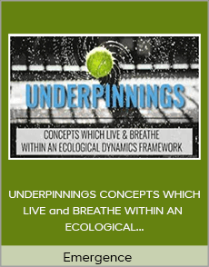 Emergence - UNDERPINNINGS CONCEPTS WHICH LIVE and BREATHE WITHIN AN ECOLOGICAL DYNAMICS FRAMEWORK