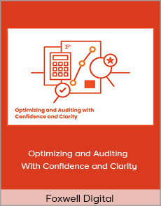 Foxwell Digital - Optimizing and Auditing With Confidence and Clarity