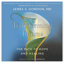 James S. Gordon - The Transformation: Discovering Wholeness and Healing After