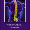 Sapien Medicine - PROJECT KUNDALINI VIBRATION