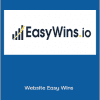 The Mushfiq S - Website Easy Wins