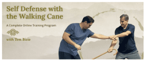 Tom Bisio - Self-Defense with the Walking Cane