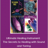 Wayne Perry - Ultimate Healing Instrument - The Secrets to Healing with Sound and Toning