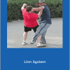 Yin Style Bagua - Lion System