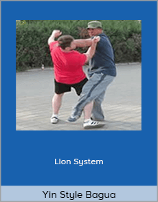 Yin Style Bagua - Lion System