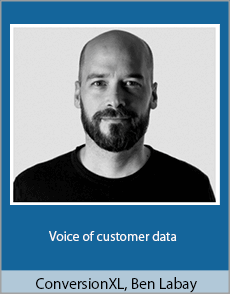 ConversionXL, Ben Labay - Voice of customer data