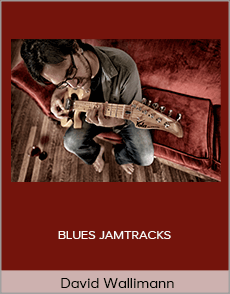 David Wallimann - BLUES JAMTRACKS