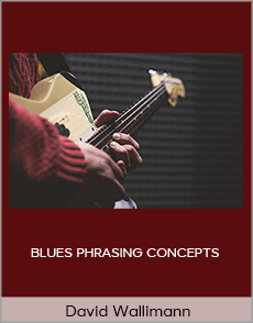 David Wallimann - BLUES PHRASING CONCEPTS