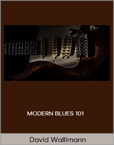 David Wallimann - MODERN BLUES 101