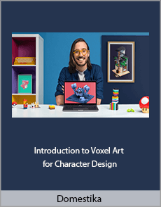 Domestika - Introduction to Voxel Art for Character Design