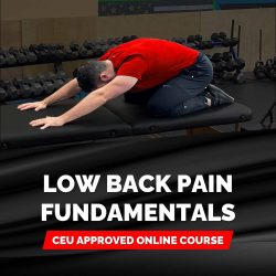 Dr. Michael Mash - Low Back Pain Fundamentals