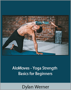 Dylan Werner - AloMoves - Yoga Strength Basics for Beginners