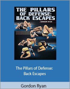 Gordon Ryan - The Pillars of Defense Back Escapes