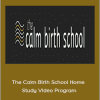 Liz Stanford - The Calm Birth School Home Study Video Program