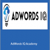 Caitlin Schlichting - AdWords IQ Academy