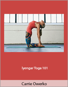 Carrie Owerko - Iyengar Yoga 101