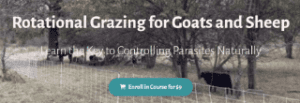 Deborah Niemann - Rotational Grazing for Goats and Sheep