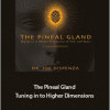 Dr. Joe Dispenza - The Pineal Gland - Tuning in to Higher Dimensions