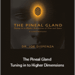 Dr. Joe Dispenza - The Pineal Gland - Tuning in to Higher Dimensions