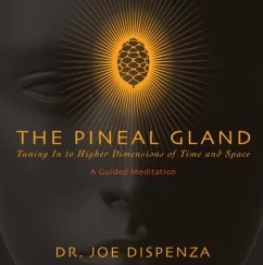 Dr. Joe Dispenza - The Pineal Gland - Tuning in to Higher Dimensions