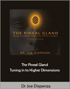 Dr. Joe Dispenza - The Pineal Gland - Tuning in to Higher Dimensions