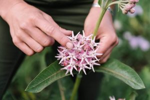 Kat Mackinnon and Briana Wiles - Identifying Wild Plants