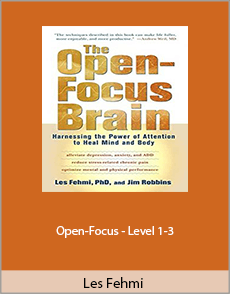 Les Fehmi - Open-Focus - Level 1-3 (2016)