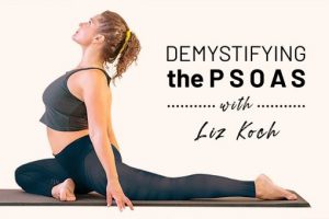 Liz Koch - Demystifying the Psoas: Develop Core Awareness, Stability, and a Stronger Yoga Practice